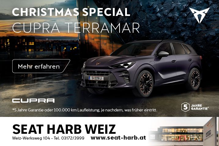 Christmas Special Terramar
